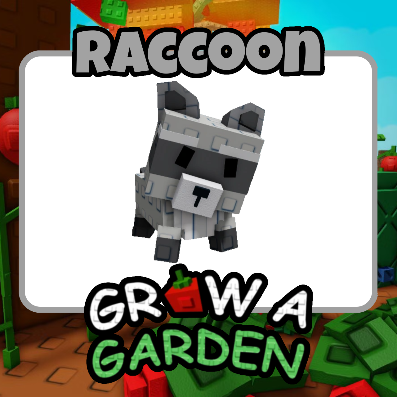 Raccoon - Grow A Garden - For Sale!